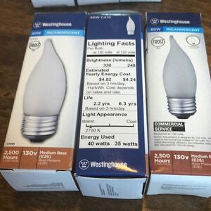 Westinghouse Decorative Flame Tip, 40 Watt, 130V, Frosted